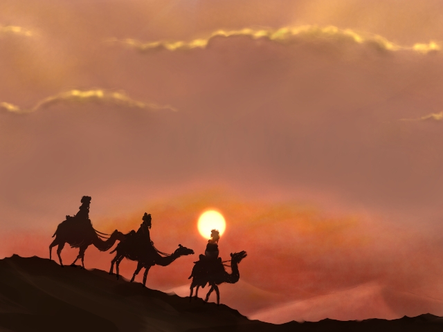 camel shadows